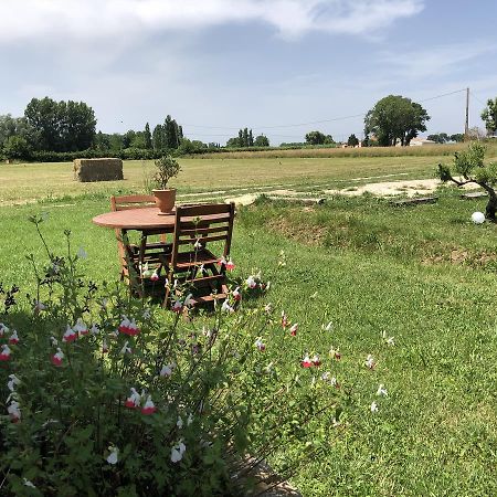 Le Mas Marguerite Arlés Exterior foto